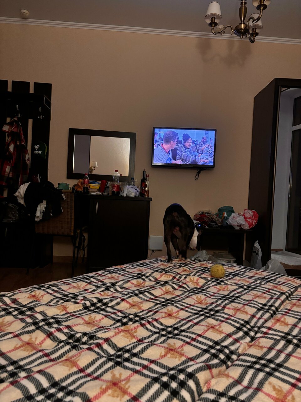 Гостевой дом Милана Витязево-67