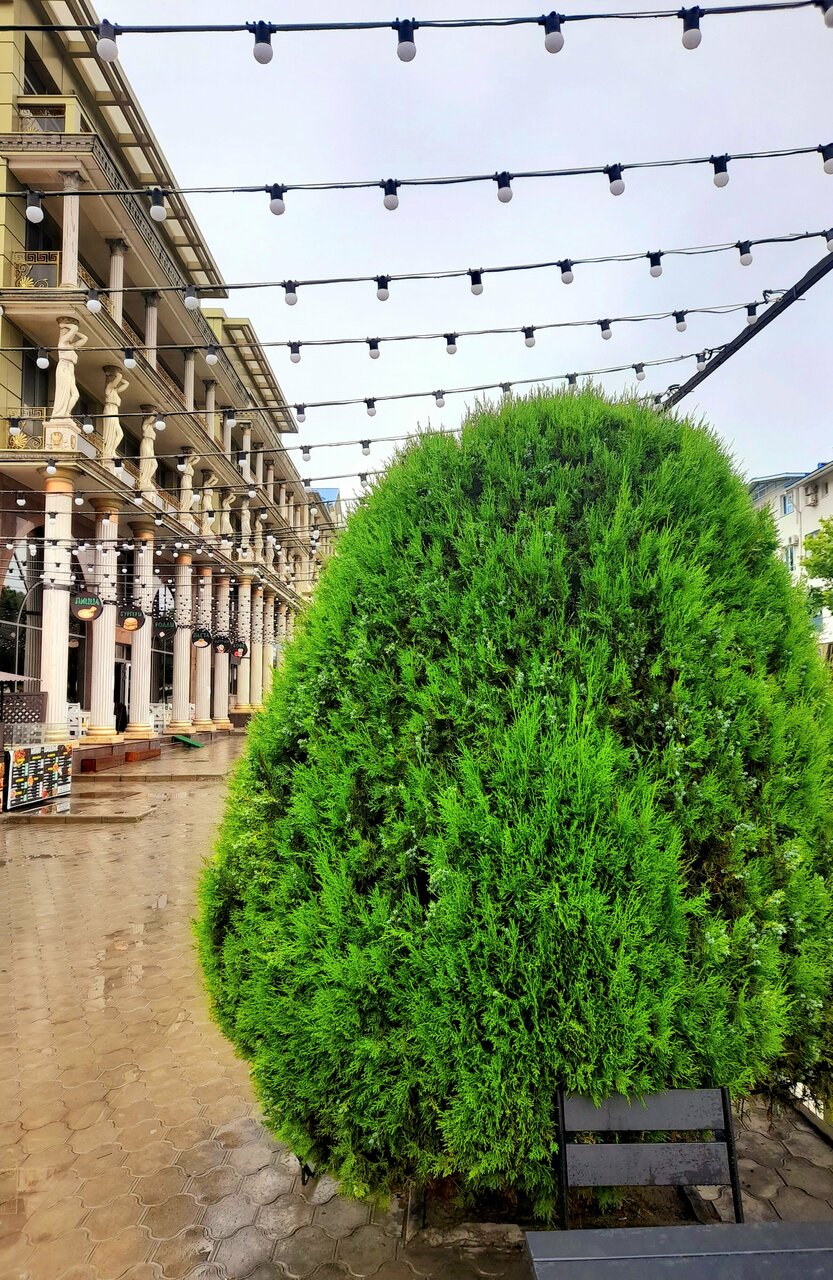 Гостевой дом Милана Витязево